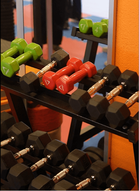 Strength training equipment at Healthify gym in Sri Vijaya Puram, view 8